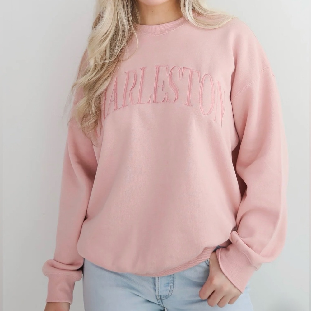 Dress Up Charleston Embroidered Pullover Sweater in Pink Blush Size Large